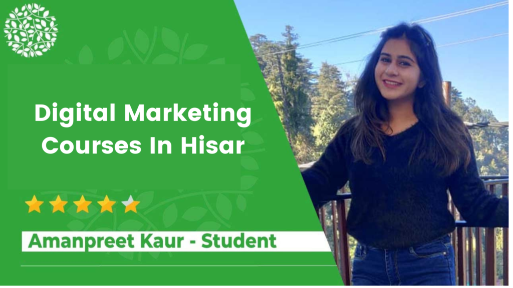 Digital Marketing Courses In Hisar