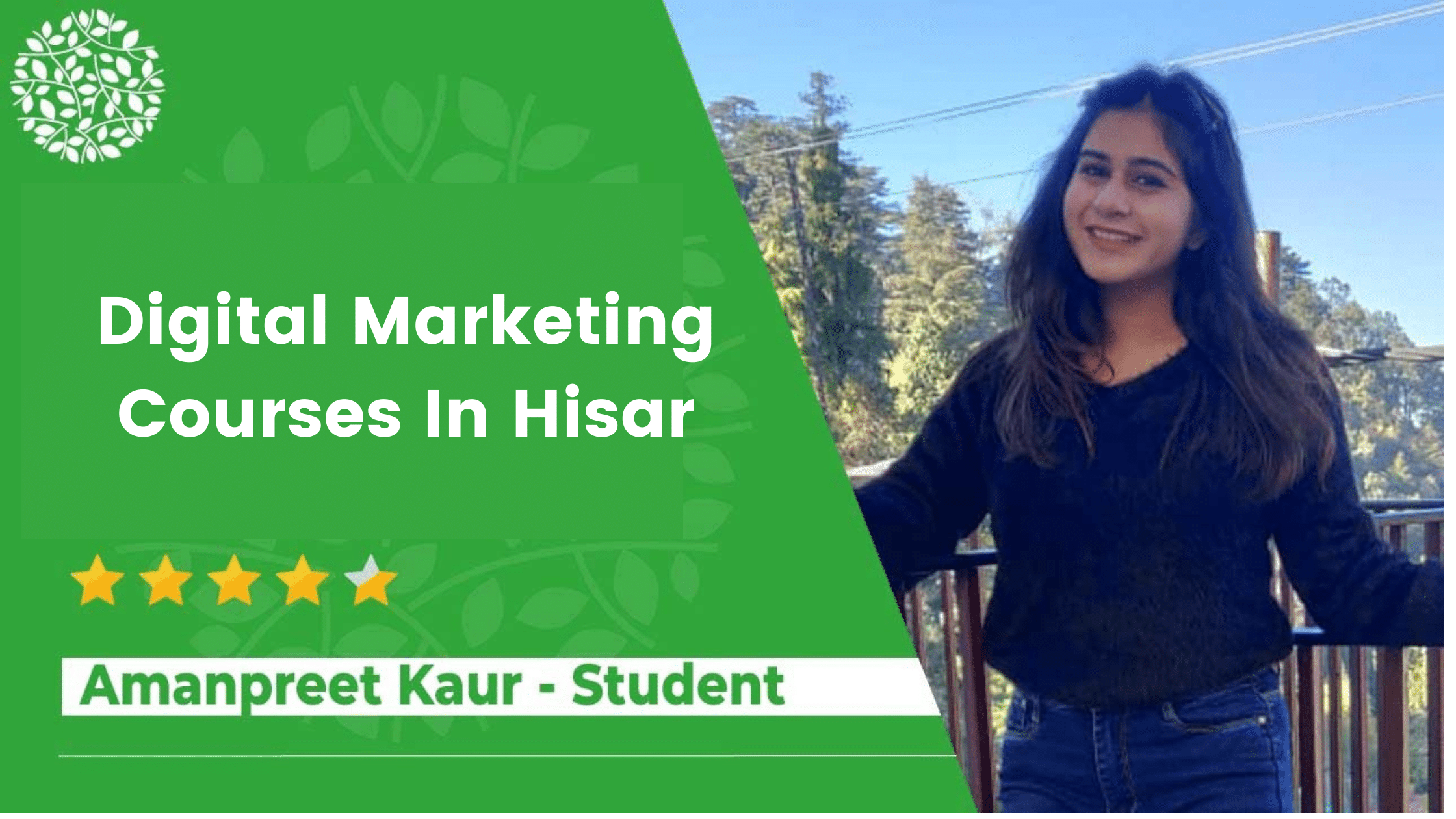 Why HSDM is the Best Digital Marketing Course In Hisar